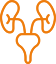 Uro Oncology