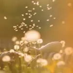home-banner